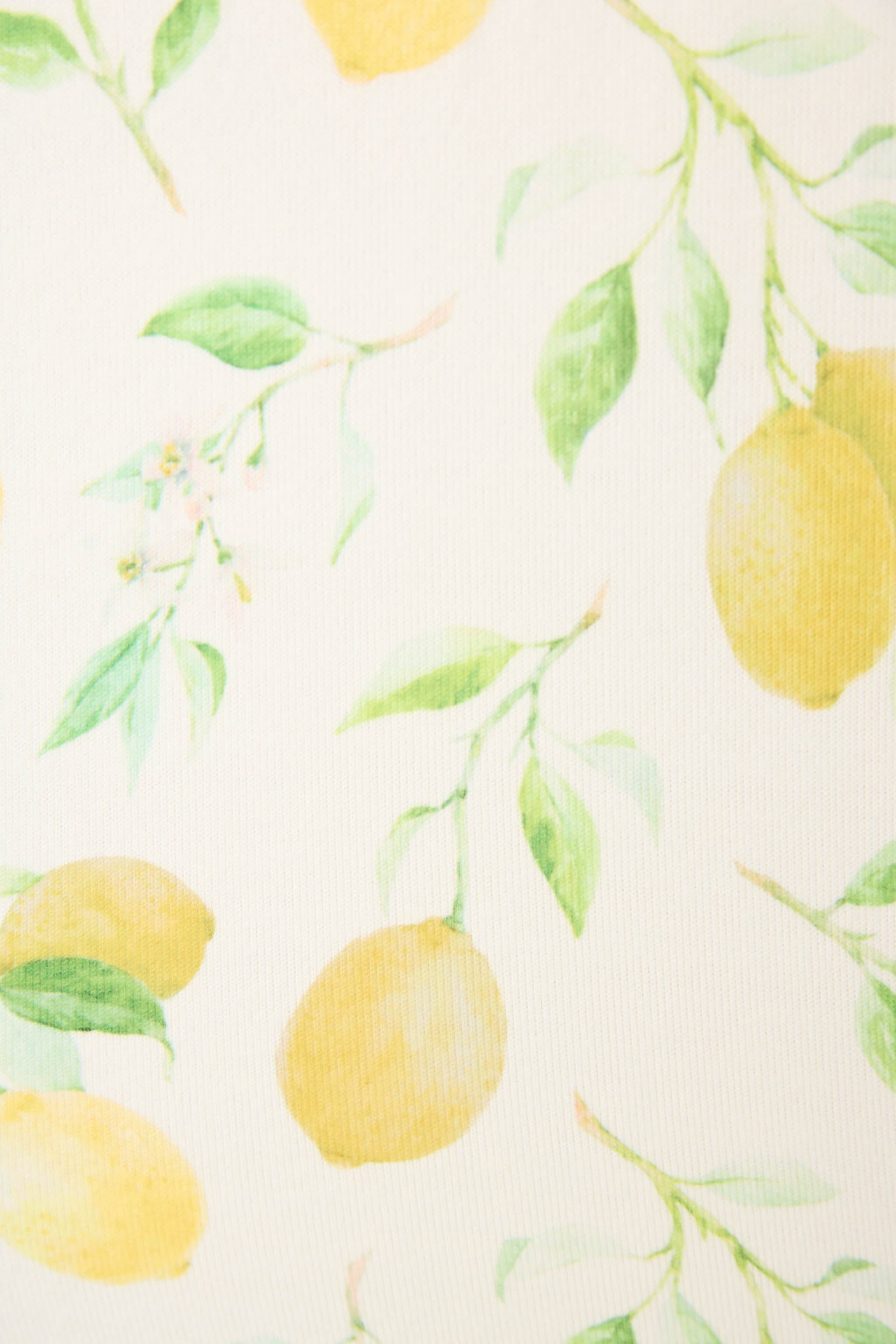 La Dolce Spritz Lemon Zest Long Sleeve Top | P.J. Salvage