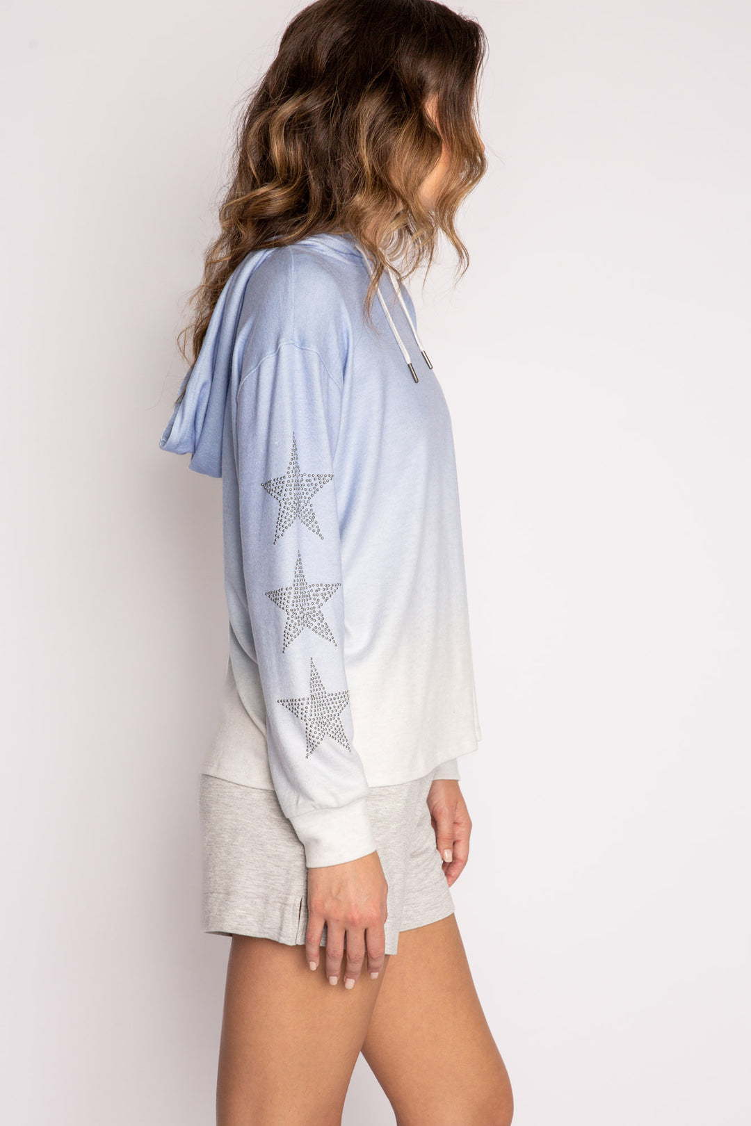 Gradient Goodness Hoody - Long Sleeve Tops - P.J. Salvage