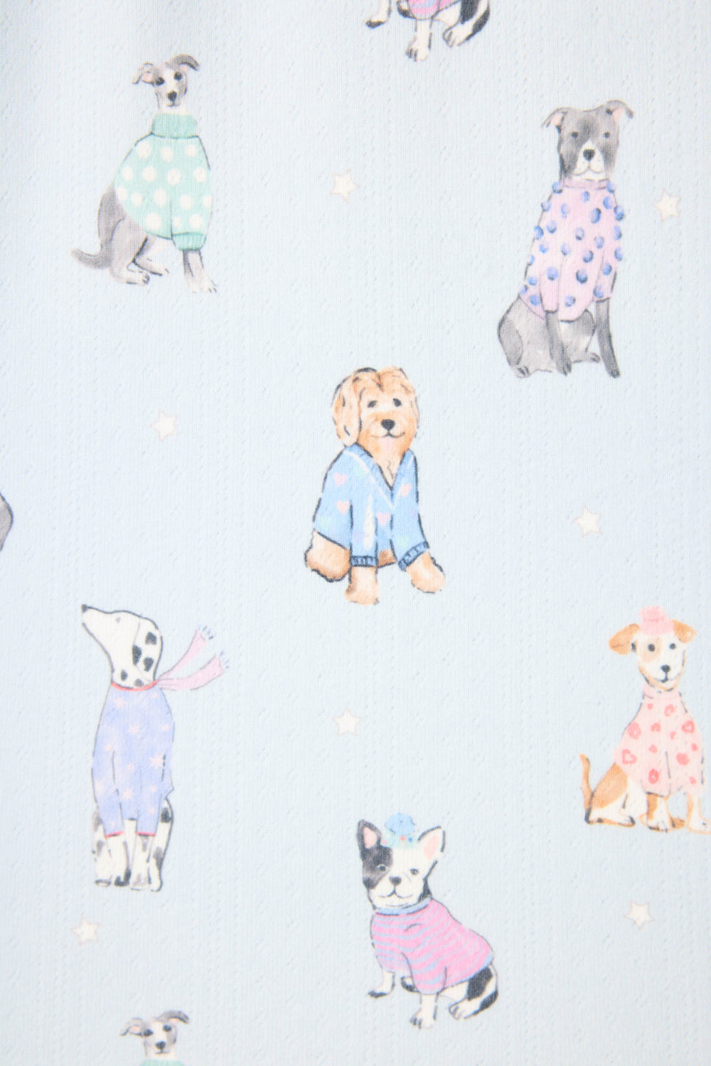 The Doggone Cold Dog Print Pointelle PJ Set by P.J. Salvage features illustrated dogs in colorful sweaters and scarves, set against a light blue background with small white stars.