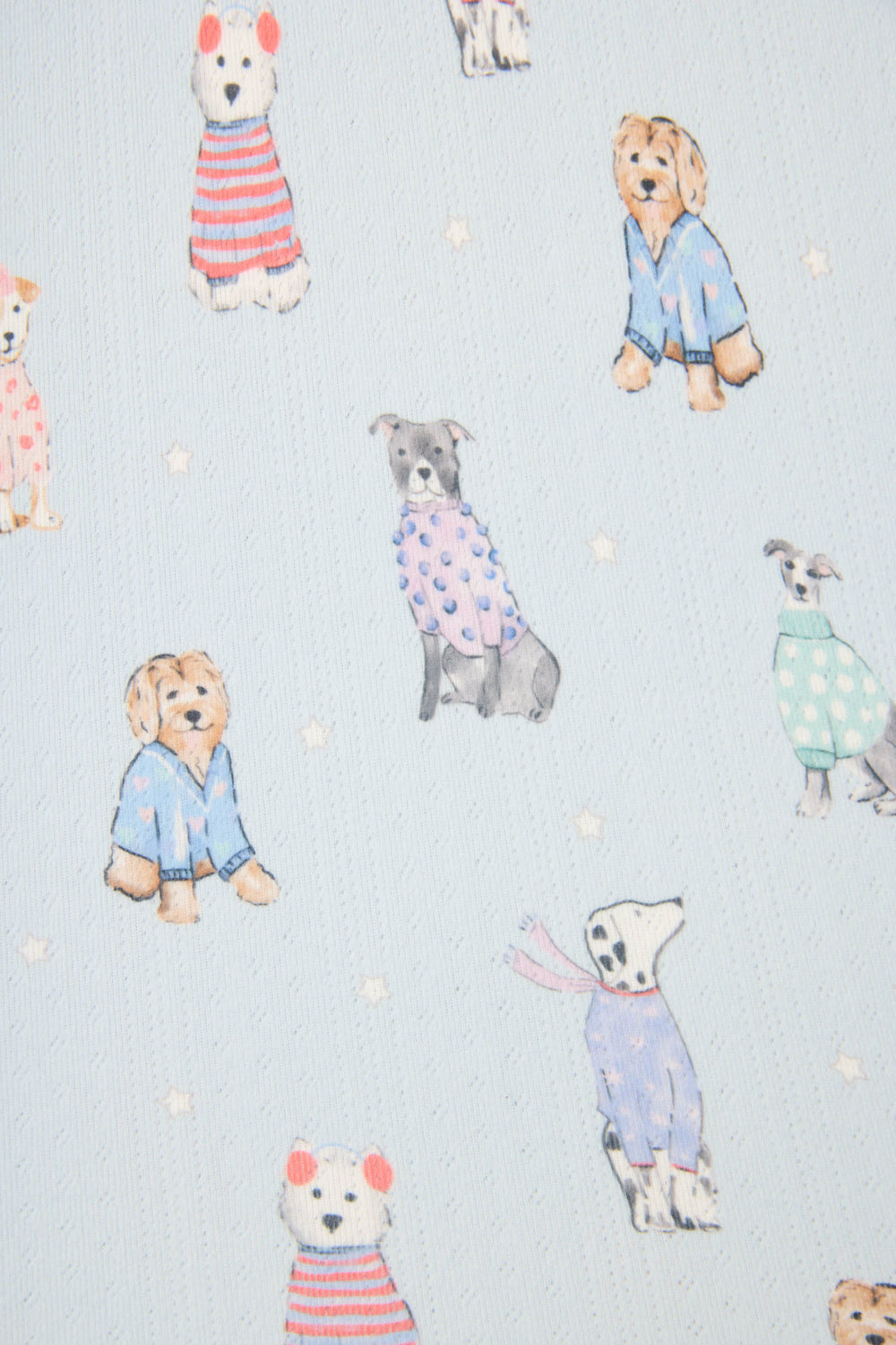 The P.J. Salvage Doggone Cold Dog Print Pointelle Plus Size PJ Set features a light blue fabric with playful dogs in colorful sweaters and scarves, accented by small white stars.