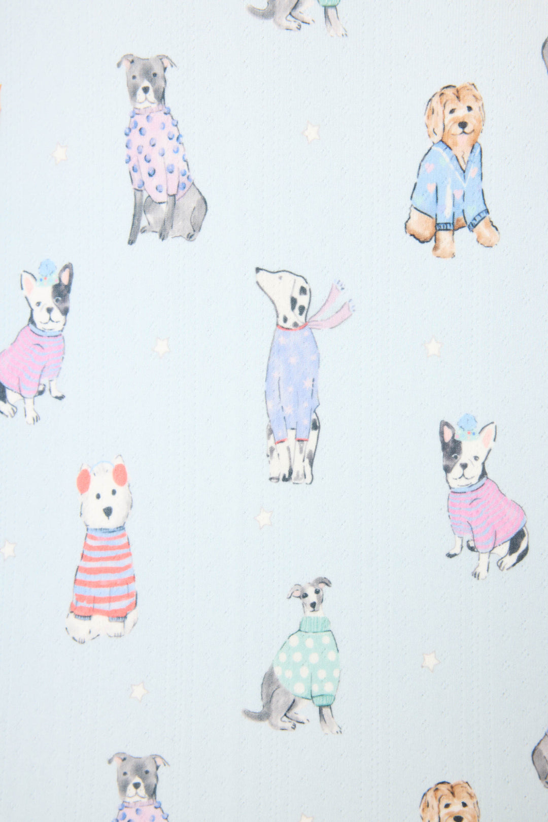 The P.J. Salvage Doggone Cold Dog Print Pointelle Banded Pants feature playful pups in colorful sweaters on a light blue, starry background—an ideal choice for winter loungewear or cozy pajama pants.