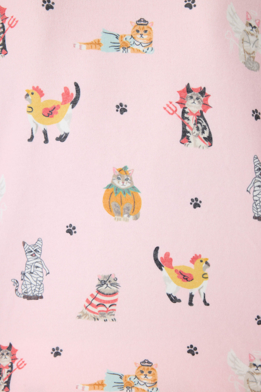 CATS CREW LONG SLEEVE FELINE SPOOKY -  - P.J. Salvage