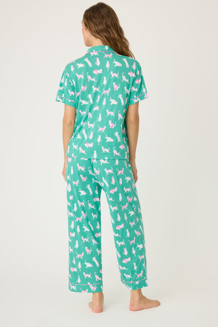 Women's breathable cotton-modal jersey short sleeve pajama set in teal with cats print. With pink contrast piping & tie. Button-front top & open leg pant.