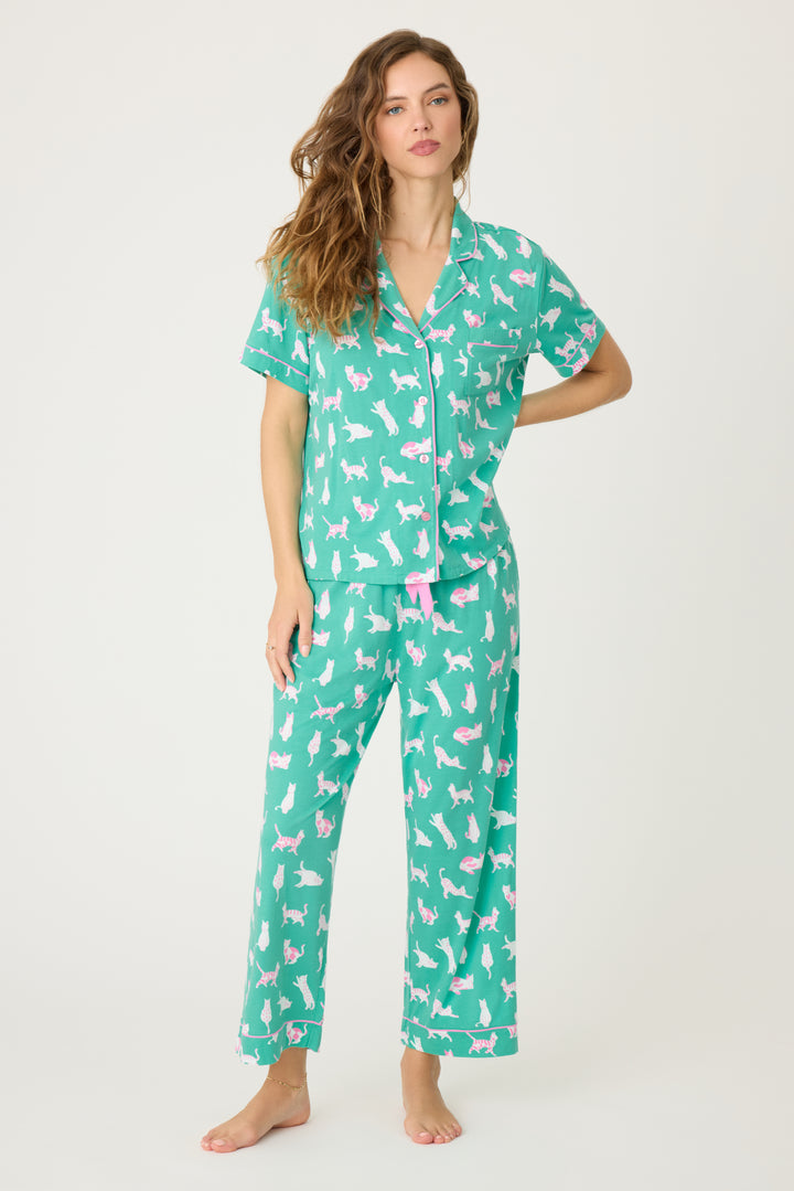 Women's breathable cotton-modal jersey short sleeve pajama set in teal with cats print. With pink contrast piping & tie. Button-front top & open leg pant.