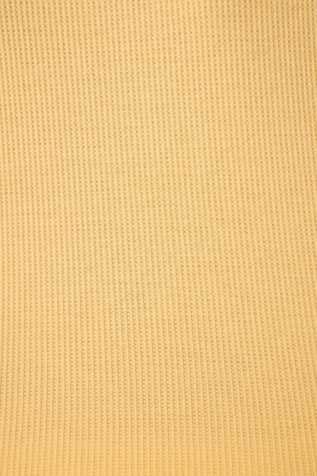 Yellow peachy waffle knit t-shirt with embroidreed shell graphic on front.