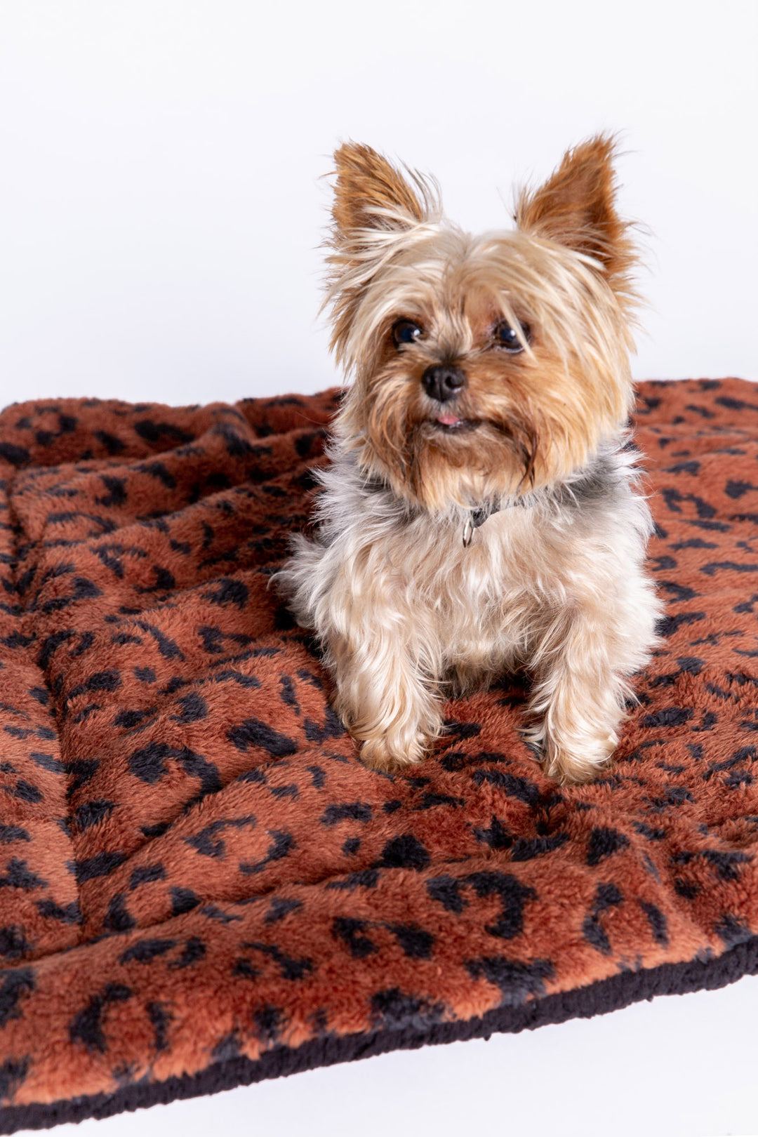 Bronze faux plush dog blanket is reversible to dark grey faux shearling back. Rolled in carry strap. (6889064890468)
