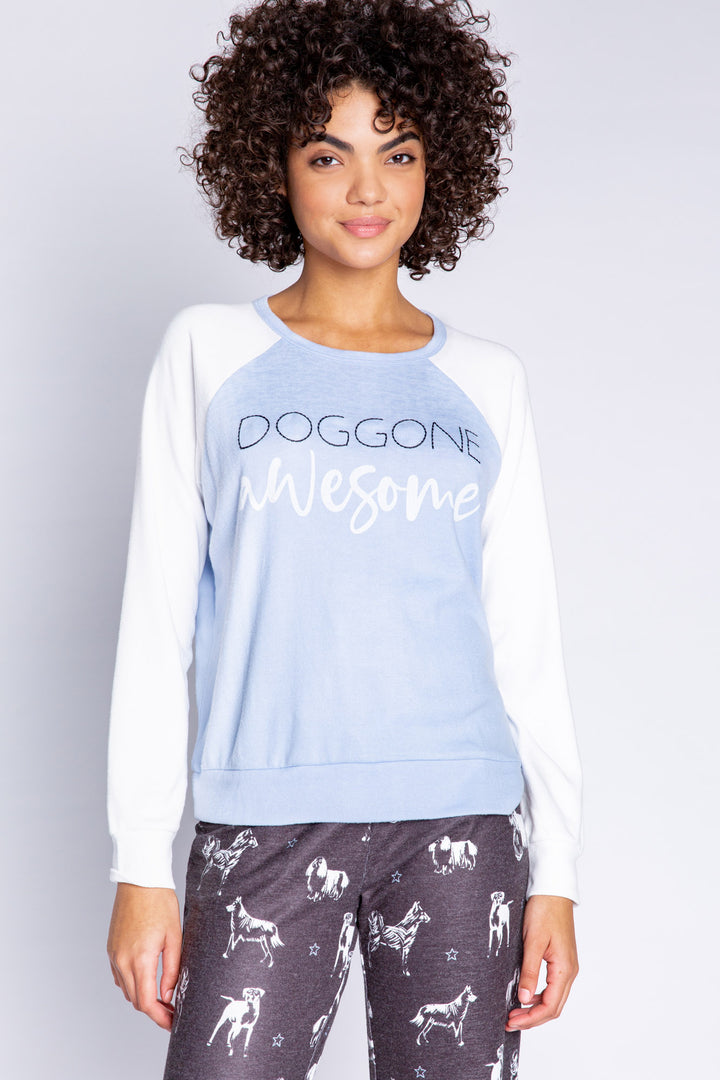 Color-block blue-ivory dog-lover's top embroidered with "Doggone Awesome" on chest. (6589214392420)