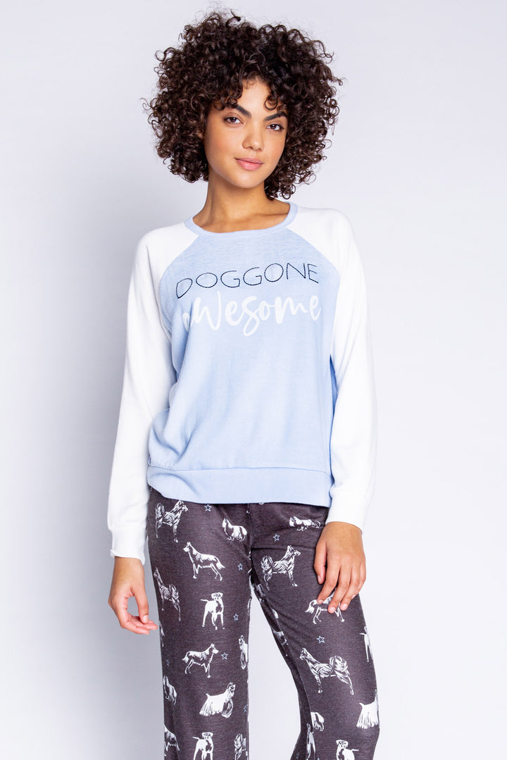 Color-block blue-ivory dog-lover's top embroidered with "Doggone Awesome" on chest. (6589214392420)