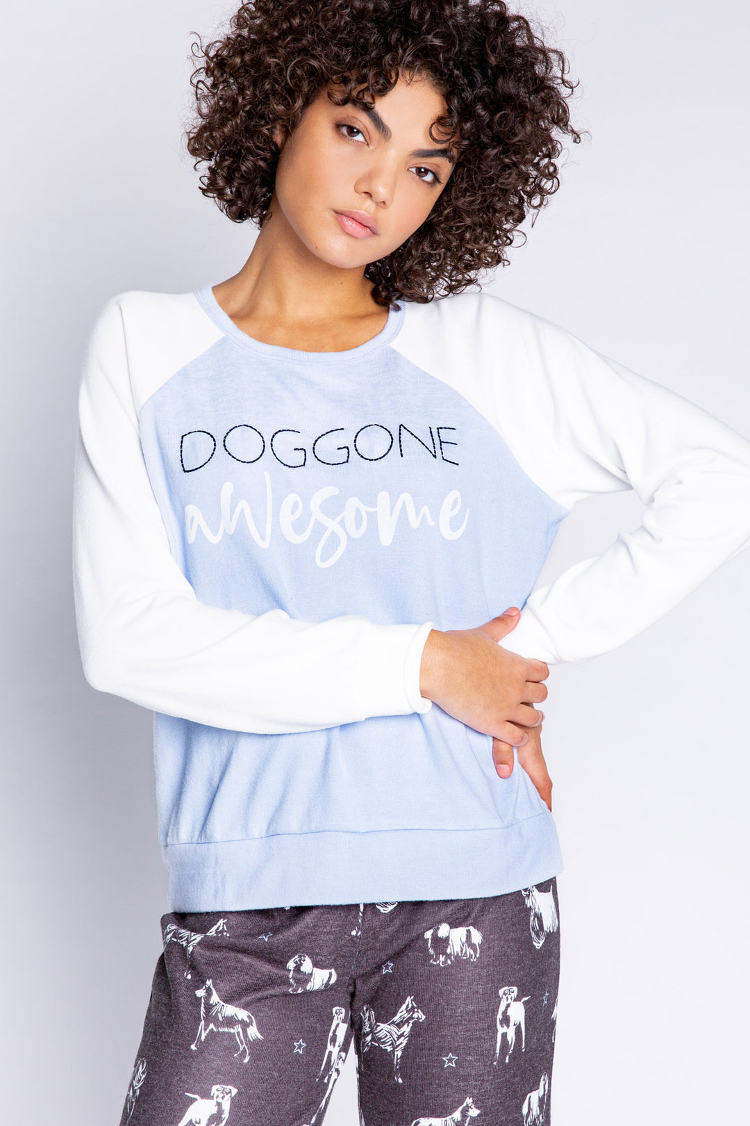 Color-block blue-ivory dog-lover's top embroidered with "Doggone Awesome" on chest. (6589214392420)